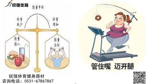 攝入 消耗能量對(duì)比.jpg 攝入 消耗能量對(duì)比.jpg