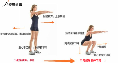 深蹲動作.jpg 深蹲動作.jpg