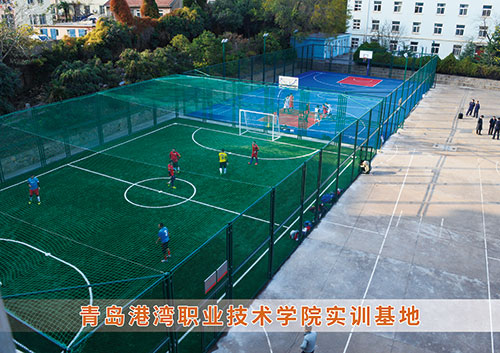 ?九游娱乐Nineame官方网站體育為青島港灣職業技術學院打造健身實訓基地